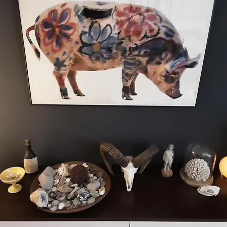 Mit Grosser Dachterrasse Im Herzen Greifswalds Greifswald