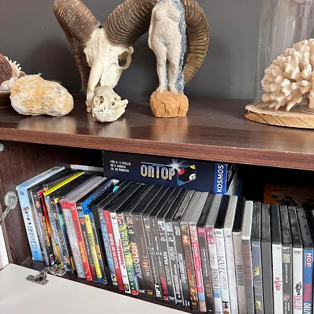 Lägenhet Mit Grosser Dachterrasse Im Herzen Greifswalds Greifswald