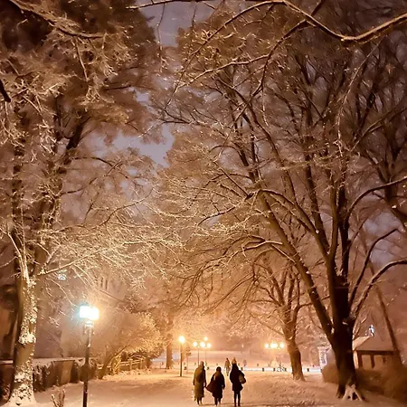 Mit Grosser Dachterrasse Im Herzen Greifswalds Lägenhet
