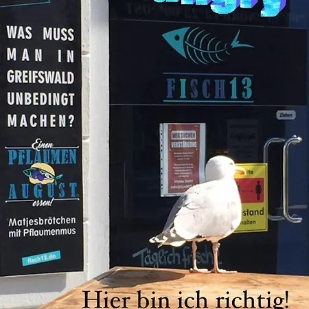Lägenhet Mit Grosser Dachterrasse Im Herzen Greifswalds Greifswald
