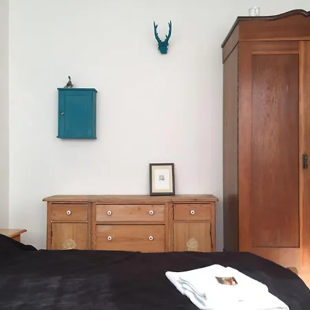 Mit Grosser Dachterrasse Im Herzen Greifswalds Greifswald