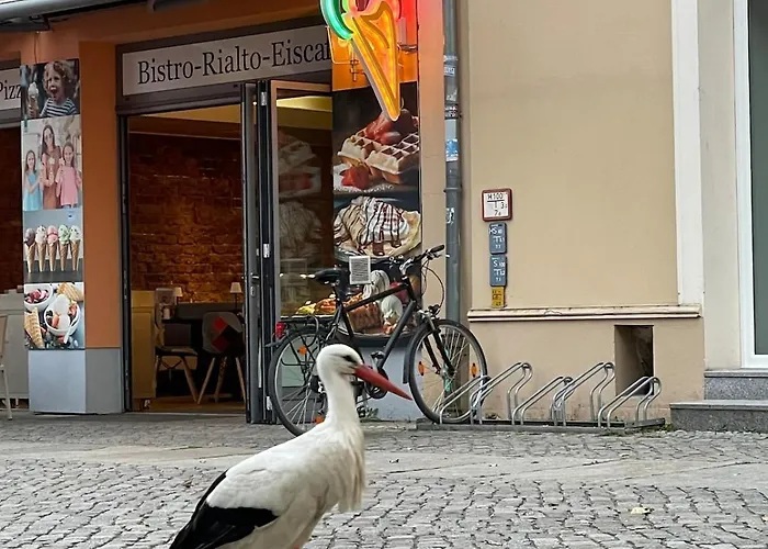 Mit Grosser Dachterrasse Im Herzen Greifswalds