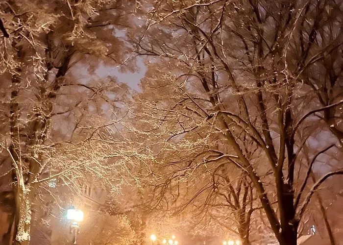 Mit Grosser Dachterrasse Im Herzen Greifswalds Διαμέρισμα
