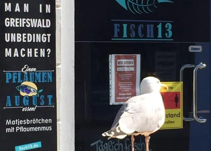 Διαμέρισμα Mit Grosser Dachterrasse Im Herzen Greifswalds Γκράιφσβαλντ